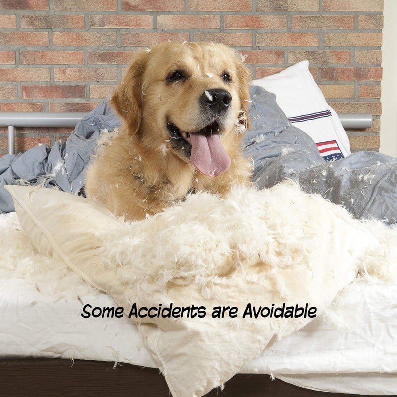 PETMAKER Freestanding Pet Gate - Wooden Folding Fence for Doorways, Halls, Stairs & Home - Step Over Divider - Great for Dogs & Puppies - Image 3